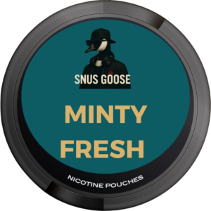 Minty Fresh Flavors Snus